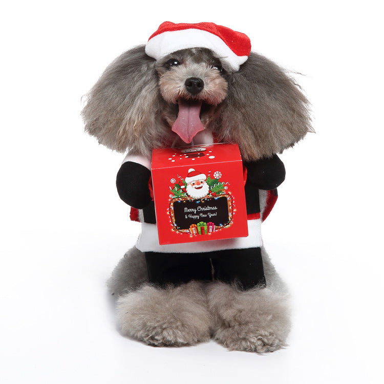 PawPlay Pet Costumes — Funny Outfits