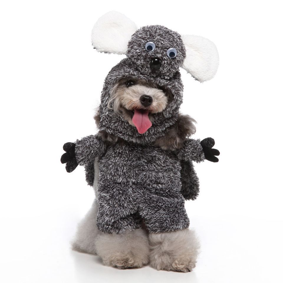 PawPlay Pet Costumes — Funny Outfits