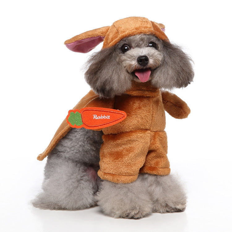 PawPlay Pet Costumes — Funny Outfits